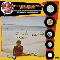 12 Vinyl Hardcore / Punk