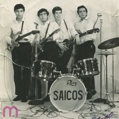 LOS SAICOS ¡Demolición! 7