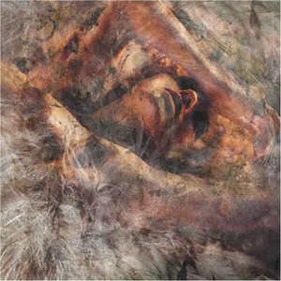 Converge Unloved And Weeded Out - LP - Transparent Green Vinyl
