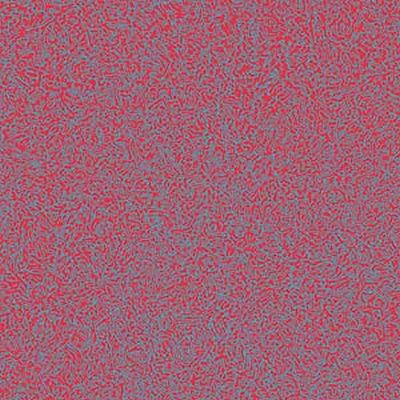 Guttersnipe - My Mother the Vent LP