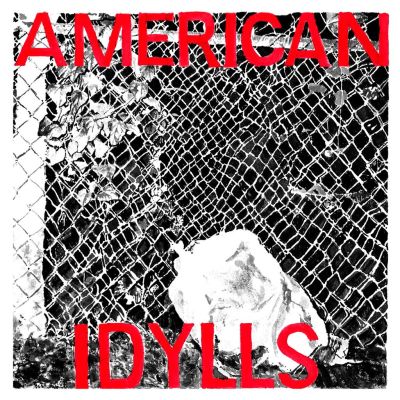 V/A American Idylls 2xLP (NC Punk/HC Compilation)