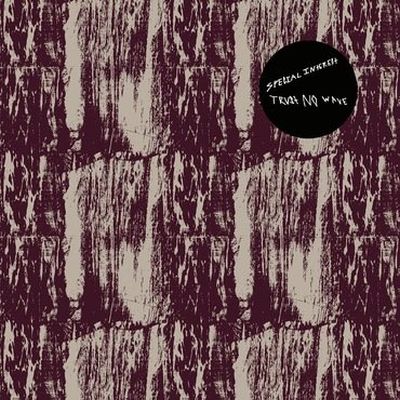 Special Interest - Trust No Wave LP