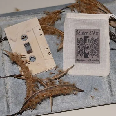 EDITION DART - Déploiement de l’immuable TAPE