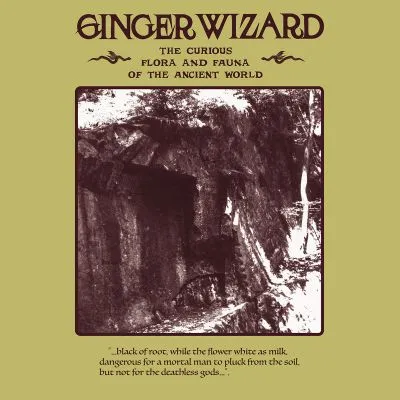 Ginger Wizard - The Curious Flora and Fauna of the Ancient World LP