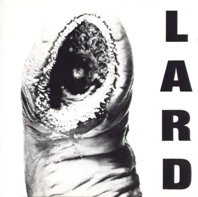 Lard - The Power Of Lard color 12"EP