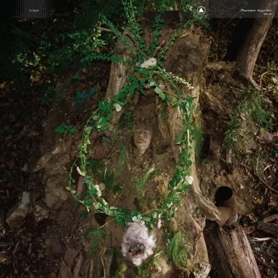 PHARMAKON - Maggot Mass LP (Eutrophic Euphoria Green Vinyl)