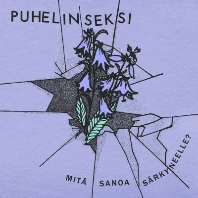 Puhelinseksi - Mitä sanoa särkyneelle? LP