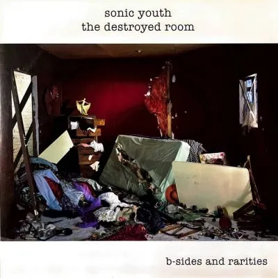 SONIC YOUTH – destroyed room LP