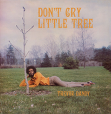 TREVOR DANDY - Dont Cry Little Tree