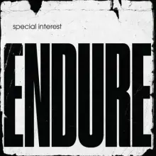 SPECIAL INTEREST - ENDURE LP ( lim. yellow )