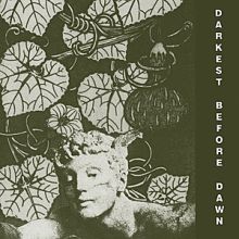 Dark Day Darkest - Before Dawn LP