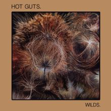 HOT GUTS - Wilds LP