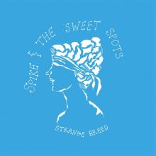 SPIKE & THE SWEET SPOTS - LP