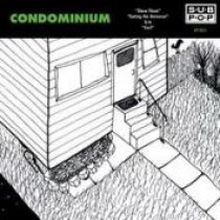 Condominium - Carl 7