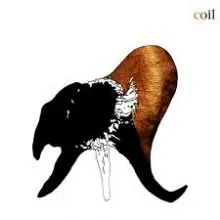 COIL - Black Antlers DLP