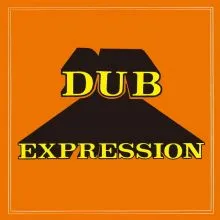 ERROL BROWN & THE REVOLUTIONARIES - Dub Expression LP