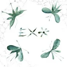 EXO S/T LP