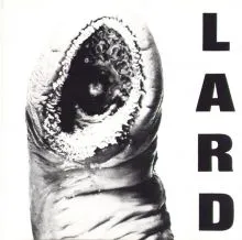 Lard - The Power Of Lard color 12"EP
