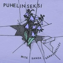 Puhelinseksi - Mitä sanoa särkyneelle? LP