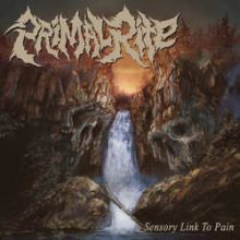 Primal Rite - Sensory Link To Pain 7