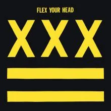 V/A - Flex Your Head LP