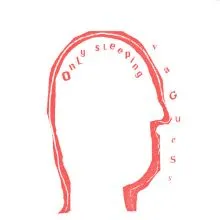 Vaguess - Only Sleeping LP
