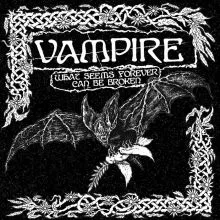 VAMPIRE what seems forever can be broken LP